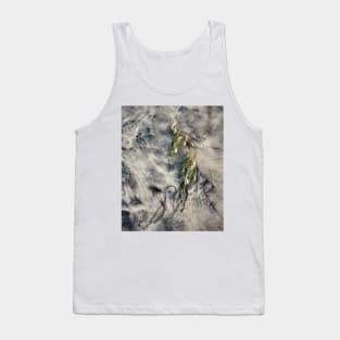 Seaweed Studies 36 Tank Top